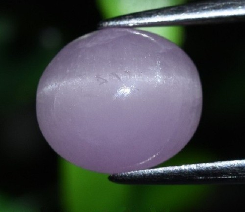 Kunzite rose oeil chat - kunzite,