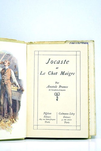Jocaste chat maigre - jocaste,