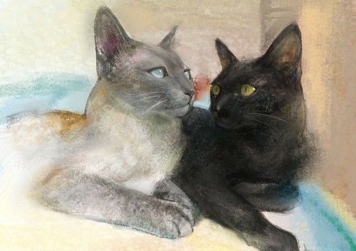 Piastra metallo gatto - in,