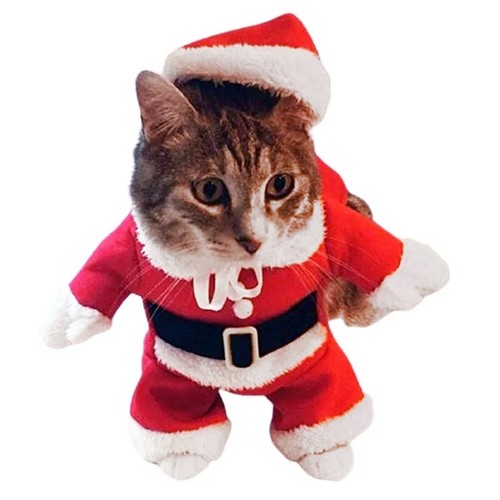 Costume natale per chien e - natale,