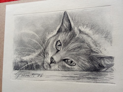 Dessin chat crayon - chat, crayon.