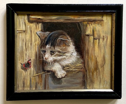Dipinto olio giovane gatto - , e