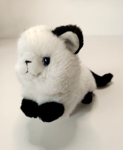 Peluche doudou gatto bianco - peluche/doudou,