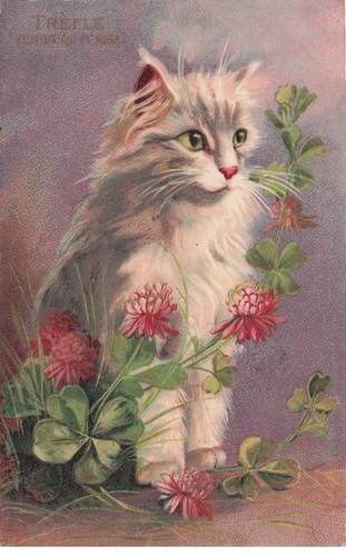 Chat illustrateur boulanger - illustrateur,