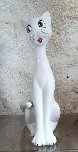 Chat blanc long cou - blanc,