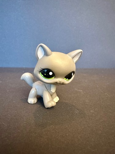 Littlest pet shop gatto - -,