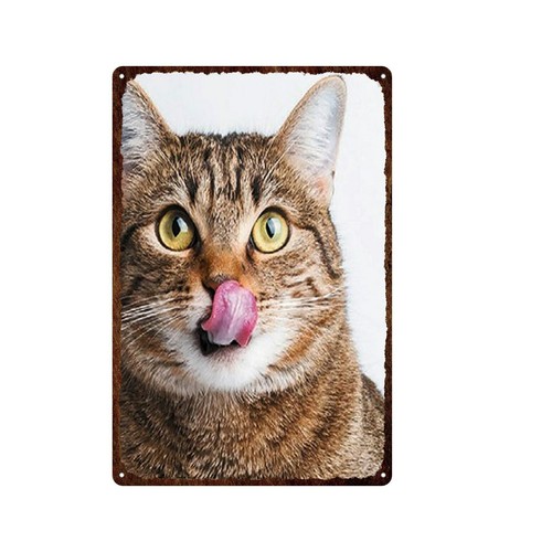 Piastra metallo gatto - in,