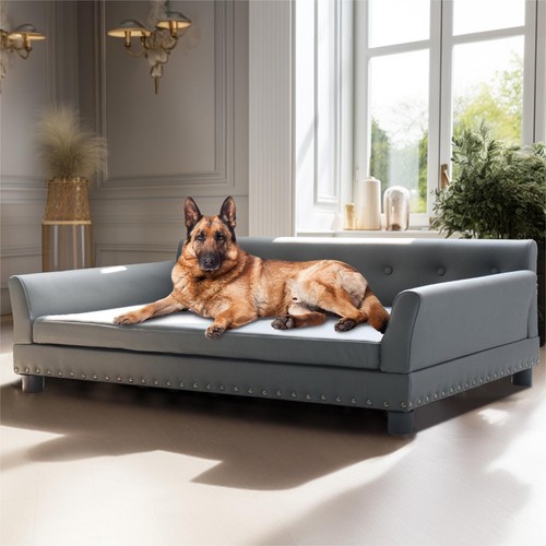 Divano per cani lusso - divano, di