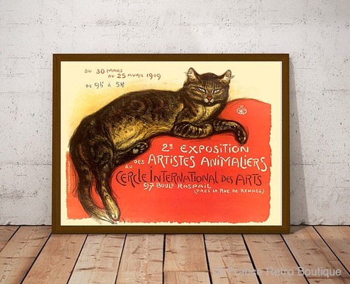 Gatto steinlen cuscino - su,