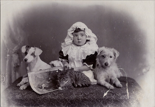 Ragazza con gatto chiens - ragazza, e