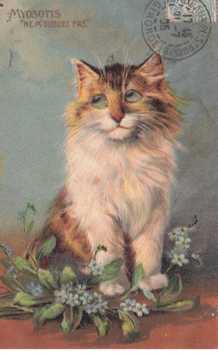 Chat illustrateur boulanger - chat,