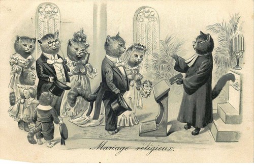Chat humanise mariage - humanise,